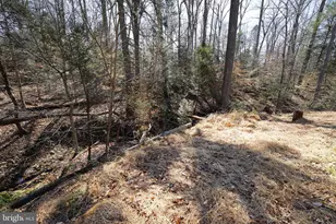 6195 River Forest Dr, Manassas, VA 20112 - Photo 85