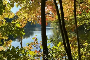 4925 Breeze Way, Dumfries, VA 22025 - Photo 83