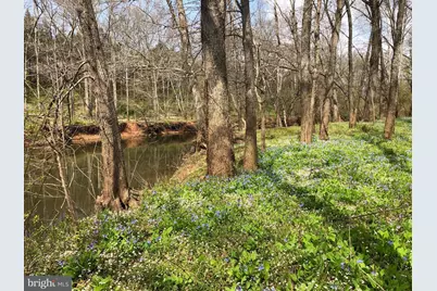 10101 Alydar Court, Nokesville, VA 20181 - Photo 85