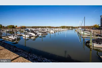 820 Belmont Bay Drive #401, Woodbridge, VA 22191 - Photo 3