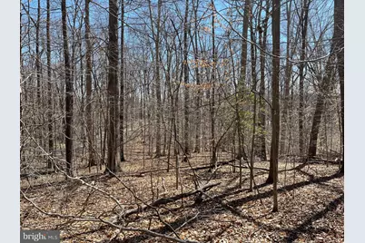 11746 Margarite Street, Manassas, VA 20112 - Photo 9