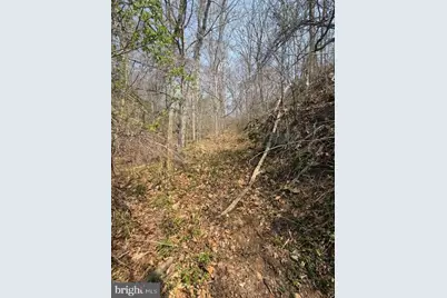 11720 Olympic Drive, Manassas, VA 20112 - Photo 11