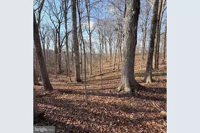 11720 Olympic Drive, Manassas, VA 20112 - Photo 7