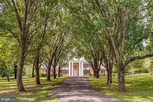 16771 Thunder Rd, Haymarket, VA 20169 - Photo 3