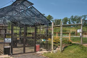 17200 Miss Packard Ct, Dumfries, VA 22026 - Photo 95