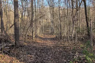 11125 Pine View Estates Ct, Nokesville, VA 20181 - Photo 59