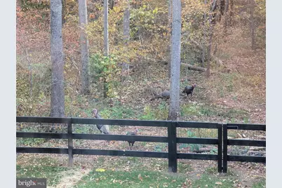 11125 Pine View Estates Court, Nokesville, VA 20181 - Photo 57