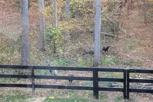 11125 Pine View Estates Ct, Nokesville, VA 20181 - Photo 57