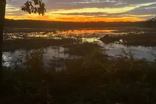 15590 Canvasback Ct, Woodbridge, VA 22191 - Photo 63