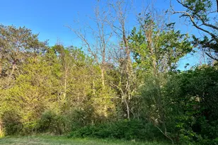 13109 Thornton, Gainesville, VA 20155 - Photo 5