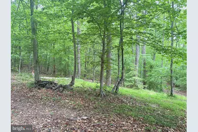 16921 Batestown Road, Dumfries, VA 22025 - Photo 5