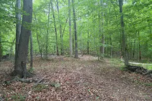 16921 Batestown Rd, Dumfries, VA 22025 - Photo 1