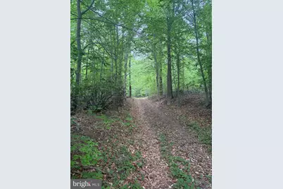 16921 Batestown Road, Dumfries, VA 22025 - Photo 3