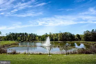 6373 Virginia Bluebell Ln, Haymarket, VA 20169 - Photo 51