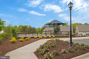 6373 Virginia Bluebell Ln, Haymarket, VA 20169 - Photo 49