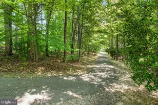 4318 Wisley Turn, Woodbridge, VA 22192 - Photo 37