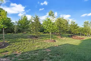 14470 Nebbiolo Dr, Gainesville, VA 20155 - Photo 7