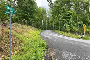 16207 Sumney Dr, Haymarket, VA 20169 - Photo 5