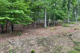 16207 Sumney Dr, Haymarket, VA 20169 - Photo 11