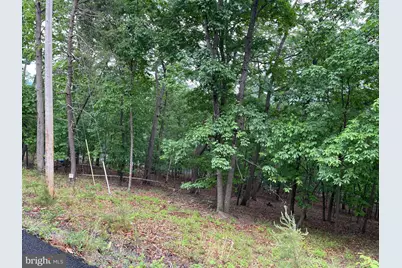 16207 Sumney Drive, Haymarket, VA 20169 - Photo 7