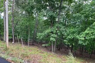 16207 Sumney Dr, Haymarket, VA 20169 - Photo 7