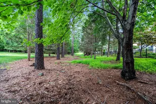 5245 Armour Ct, Haymarket, VA 20169 - Photo 81