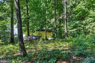 12012 Governors Ct, Woodbridge, VA 22192 - Photo 5