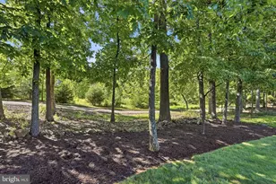14261 Clubhouse Rd, Gainesville, VA 20155 - Photo 75