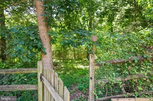 6050 Smooth Stone Pl, Haymarket, VA 20169 - Photo 65