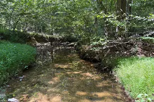 8133 Counselor Rd, Manassas, VA 20112 - Photo 83