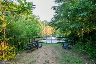 1101 Mountain Rd, Haymarket, VA 20169 - Photo 41