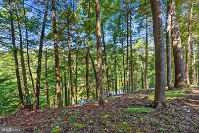 10990 Stonebrook Drive, Manassas, VA 20112 - Photo 71
