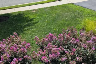 5598 Websters Way, Manassas, VA 20112 - Photo 3