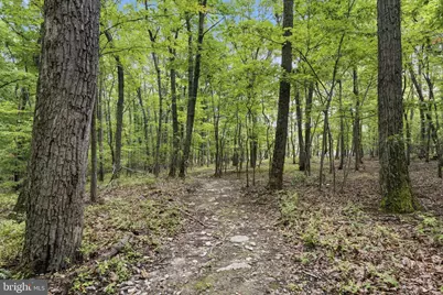 3204 Mountain Road, Haymarket, VA 20169 - Photo 139