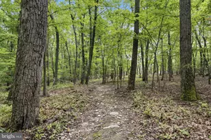 3204 Mountain Rd, Haymarket, VA 20169 - Photo 139