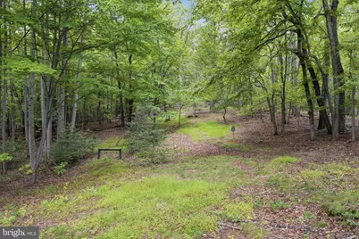 3204 Mountain Road, Haymarket, VA 20169 - Photo 133