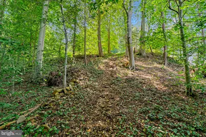 7492 Devon Lane, Manassas, VA 20112 - Photo 23