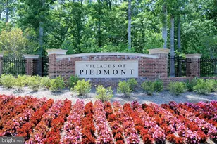 15998 Greymill Manor Dr, Haymarket, VA 20169 - Photo 55