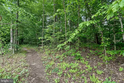 2900 Nicely Court, Dumfries, VA 22026 - Photo 17