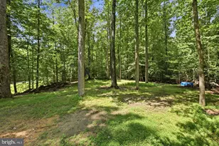 8109 Counselor Rd, Manassas, VA 20112 - Photo 67