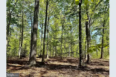13121 Bristow Road, Nokesville, VA 20181 - Photo 3
