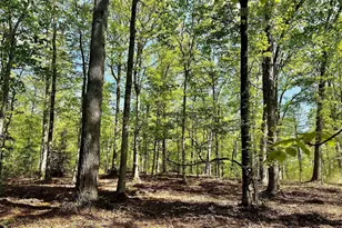 13121 Bristow Rd, Nokesville, VA 20181 - Photo 3