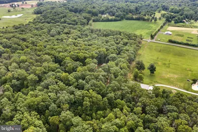10904 Manley Road, Nokesville, VA 20181 - Photo 41