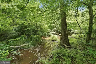 12888 Livia Drive, Catharpin, VA 20143 - Photo 105