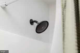 16805 E Spg Ave, Elkton, VA 22827 - Photo 39