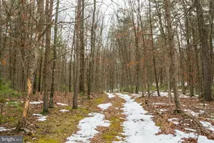 19962 Rainbow Ridge Rd, Bergton, VA 22811 - Photo 39