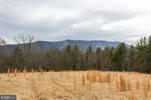 19962 Rainbow Ridge Rd, Bergton, VA 22811 - Photo 33