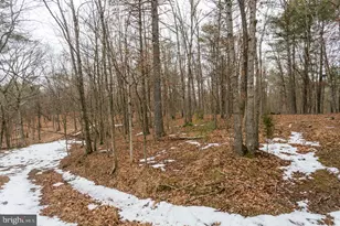 19962 Rainbow Ridge Rd, Bergton, VA 22811 - Photo 37