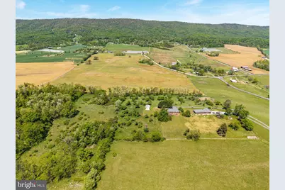 7133 Turleytown Road, Singers Glen, VA 22850 - Photo 107