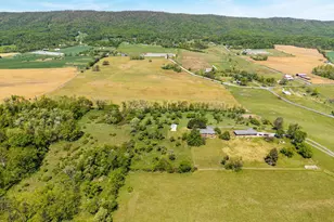 7133 Turleytown Rd, Singers Glen, VA 22850 - Photo 107
